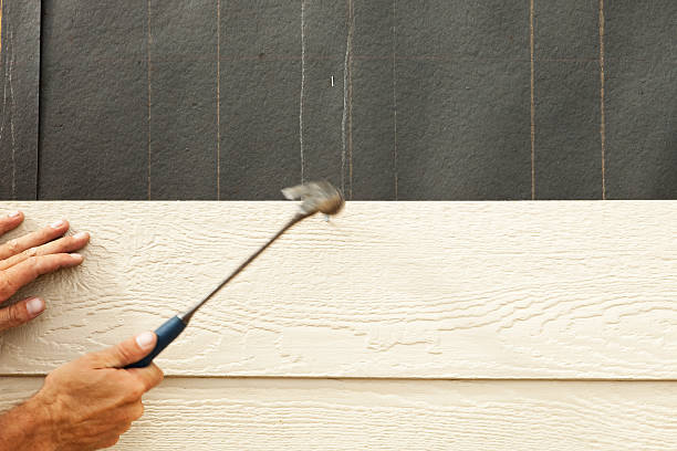 Best Insulated Siding Installation  in Vian, OK